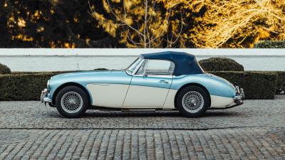 1965 Austin - Healey 3000 Mk III BJ8