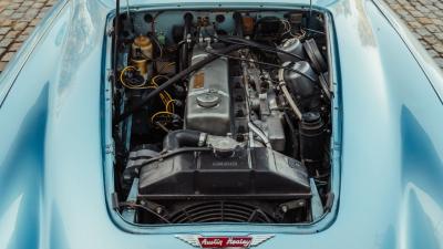 1965 Austin - Healey 3000 Mk III BJ8