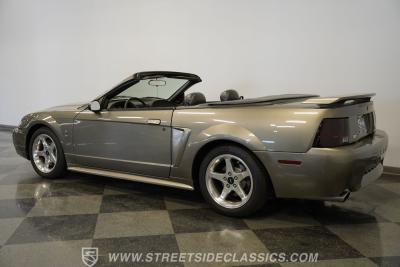 2001 Ford Mustang Cobra SVT Convertible