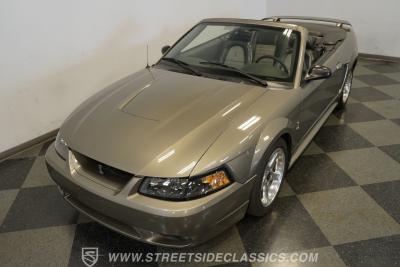 2001 Ford Mustang Cobra SVT Convertible