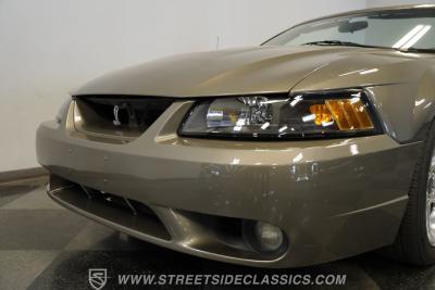 2001 Ford Mustang Cobra SVT Convertible