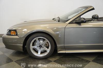 2001 Ford Mustang Cobra SVT Convertible