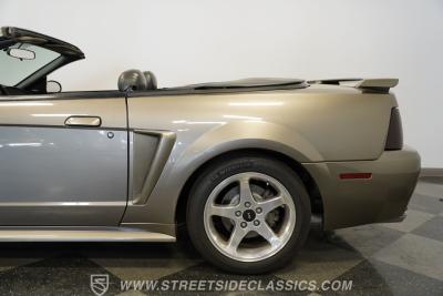 2001 Ford Mustang Cobra SVT Convertible