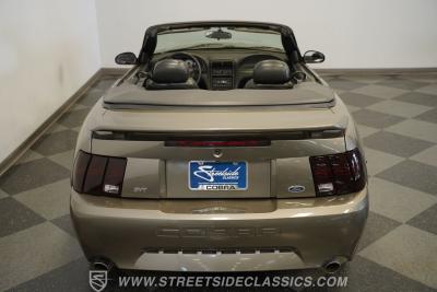 2001 Ford Mustang Cobra SVT Convertible