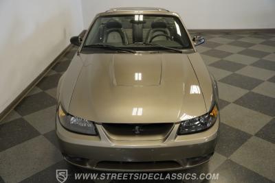 2001 Ford Mustang Cobra SVT Convertible