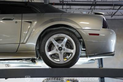 2001 Ford Mustang Cobra SVT Convertible