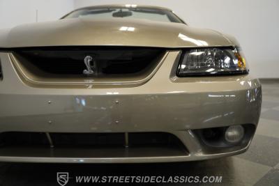 2001 Ford Mustang Cobra SVT Convertible