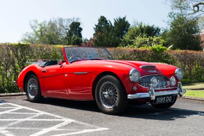 1959 Austin - Healey 3000