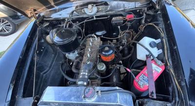 1951 Studebaker CHAMPION