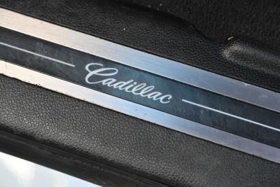 2019 Cadillac Escalade