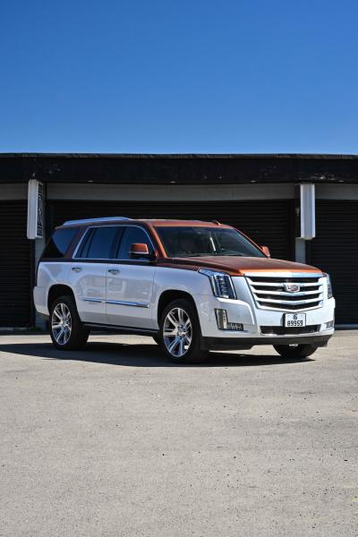 2019 Cadillac Escalade
