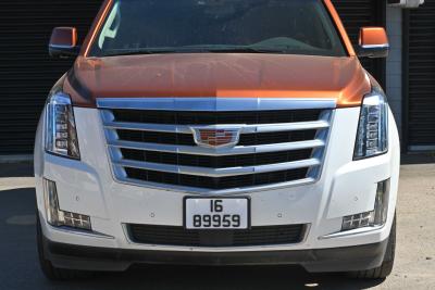 2019 Cadillac Escalade