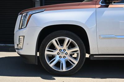 2019 Cadillac Escalade