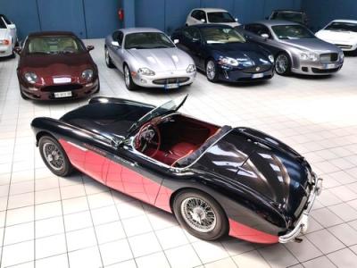 1956 Austin - Healey 100/4