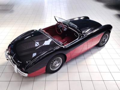 1956 Austin - Healey 100/4