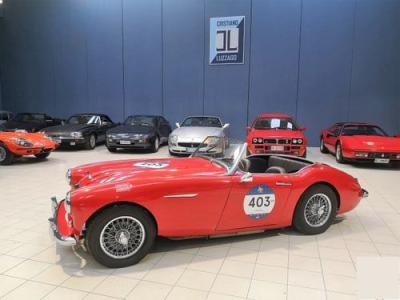 1958 Austin - Healey 100-6