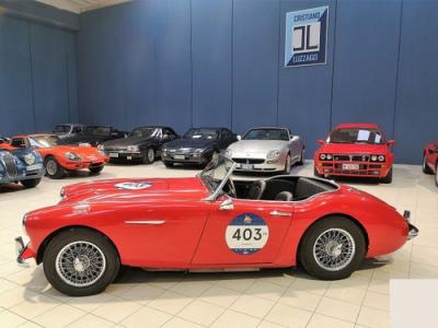 1958 Austin - Healey 100-6