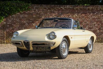 1967 Alfa Romeo Spider Duetto 1600