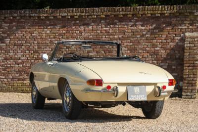 1967 Alfa Romeo Spider Duetto 1600