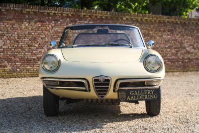 1967 Alfa Romeo Spider Duetto 1600