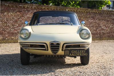 1967 Alfa Romeo Spider Duetto 1600
