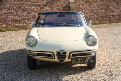 1967 Alfa Romeo Spider Duetto 1600