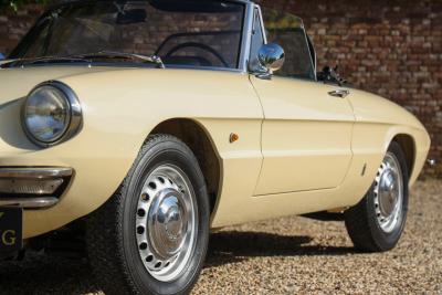 1967 Alfa Romeo Spider Duetto 1600