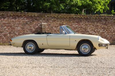 1967 Alfa Romeo Spider Duetto 1600