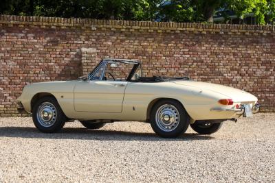 1967 Alfa Romeo Spider Duetto 1600