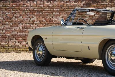 1967 Alfa Romeo Spider Duetto 1600
