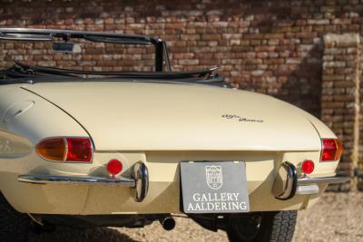 1967 Alfa Romeo Spider Duetto 1600