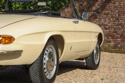 1967 Alfa Romeo Spider Duetto 1600