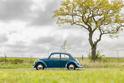 1965 Volkswagen Beetle
