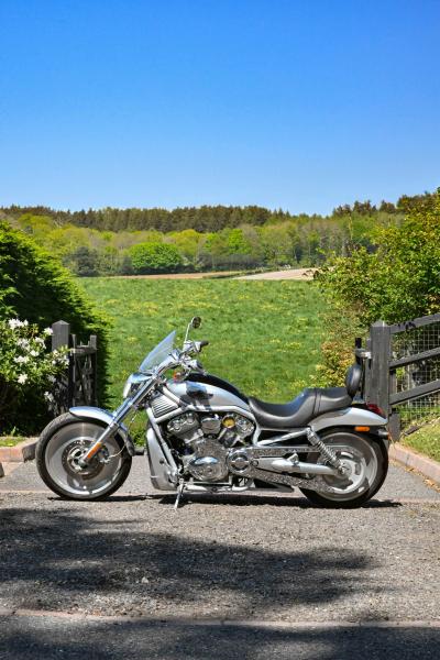 2003 Harley Davidson VRSCA V-Rod