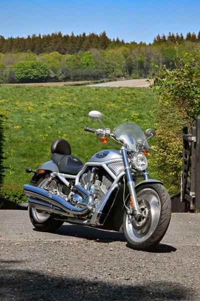 2003 Harley Davidson VRSCA V-Rod