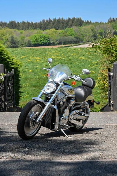 2003 Harley Davidson VRSCA V-Rod