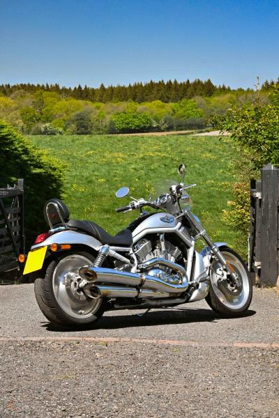 2003 Harley Davidson VRSCA V-Rod