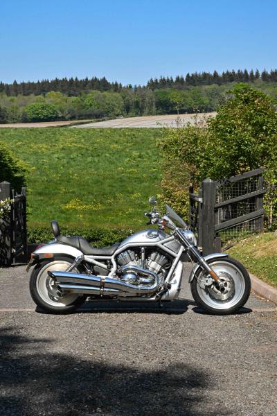 2003 Harley Davidson VRSCA V-Rod