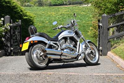 2003 Harley Davidson VRSCA V-Rod