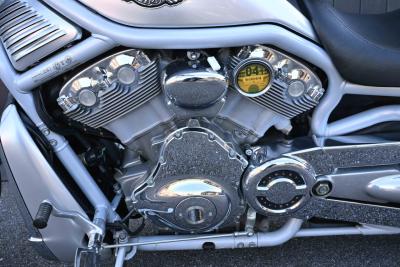 2003 Harley Davidson VRSCA V-Rod