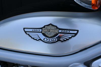 2003 Harley Davidson VRSCA V-Rod