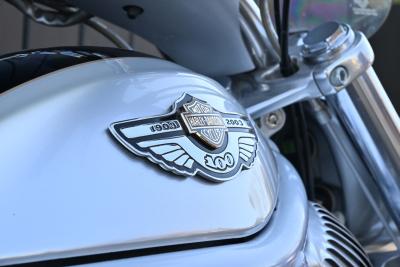 2003 Harley Davidson VRSCA V-Rod