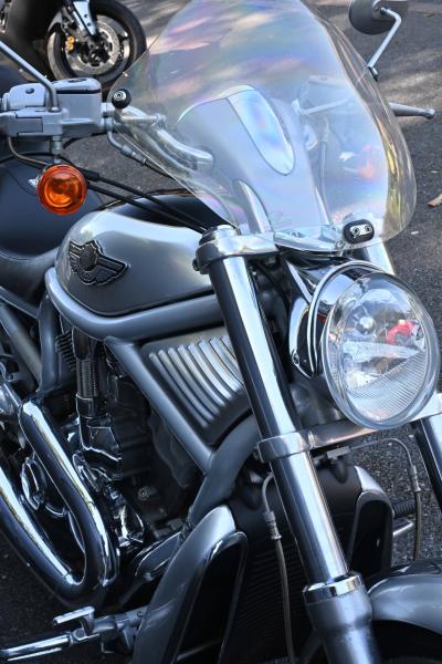 2003 Harley Davidson VRSCA V-Rod