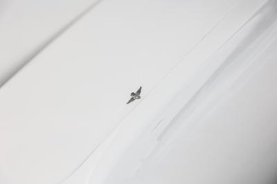 1963 Alfa Romeo 2600 Spider by Touring