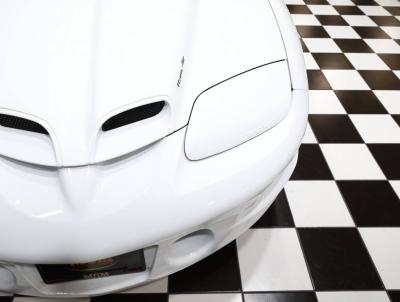 2002 Pontiac Firebird