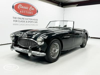 1959 Austin - Healey 100-6