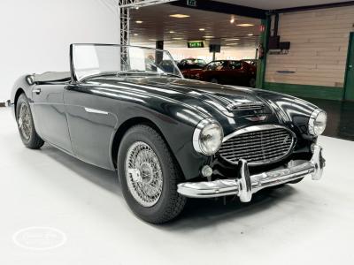 1959 Austin - Healey 100-6