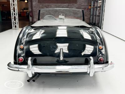 1959 Austin - Healey 100-6