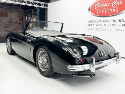 1959 Austin - Healey 100-6
