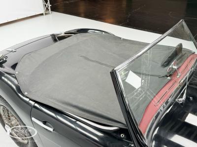 1959 Austin - Healey 100-6